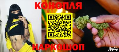 МДПВ Лесосибирск